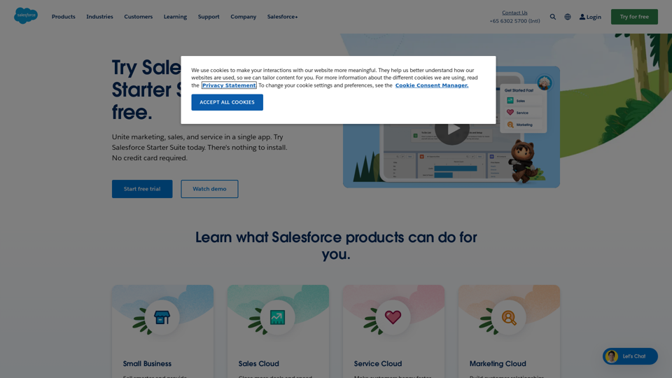 Salesforce Einstein - The Customer Company for AI CRM Platform