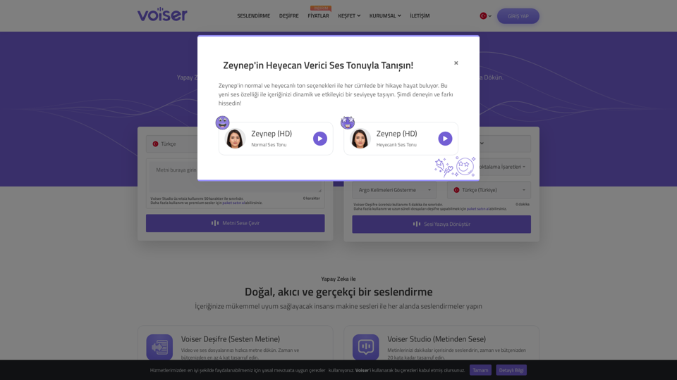 Voice-over and Transcription - Voicer