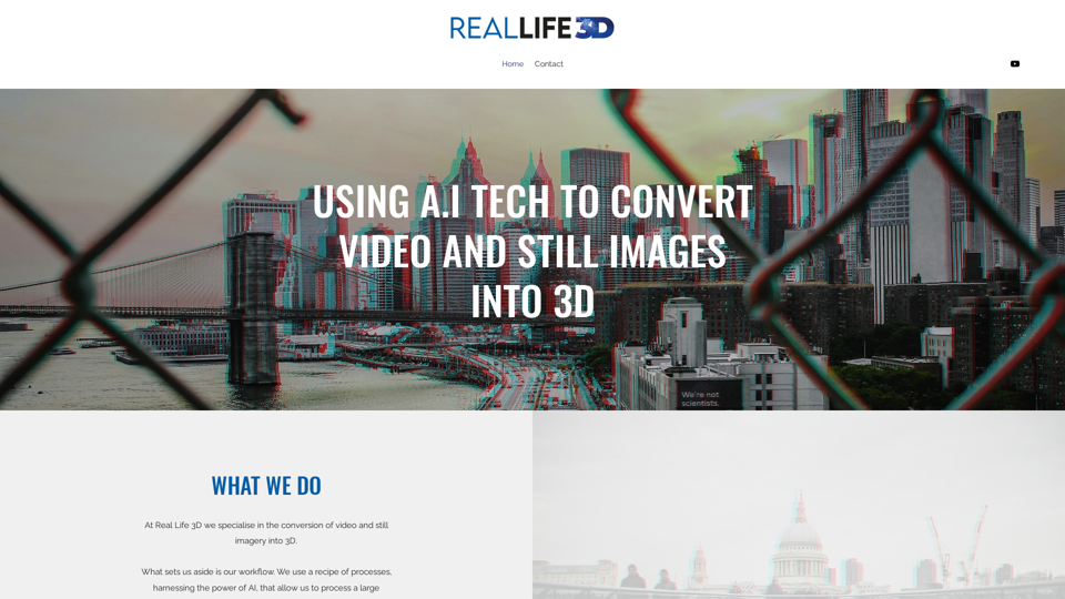 3D Image Conversion Services - Real Life 3D
