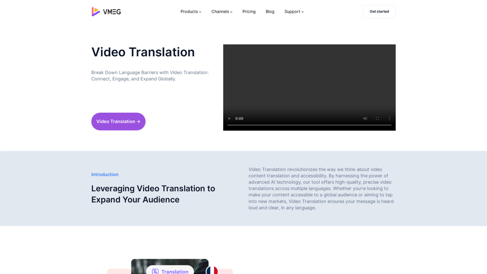 VMEG-Video Translation - Introduction