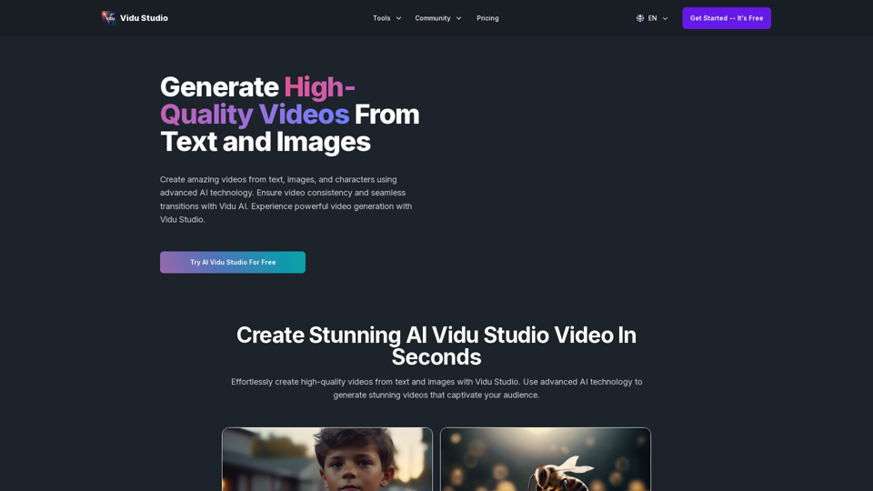 Vidu Studio - Features