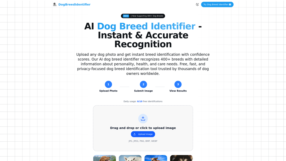 Dog Breed Identifier AI